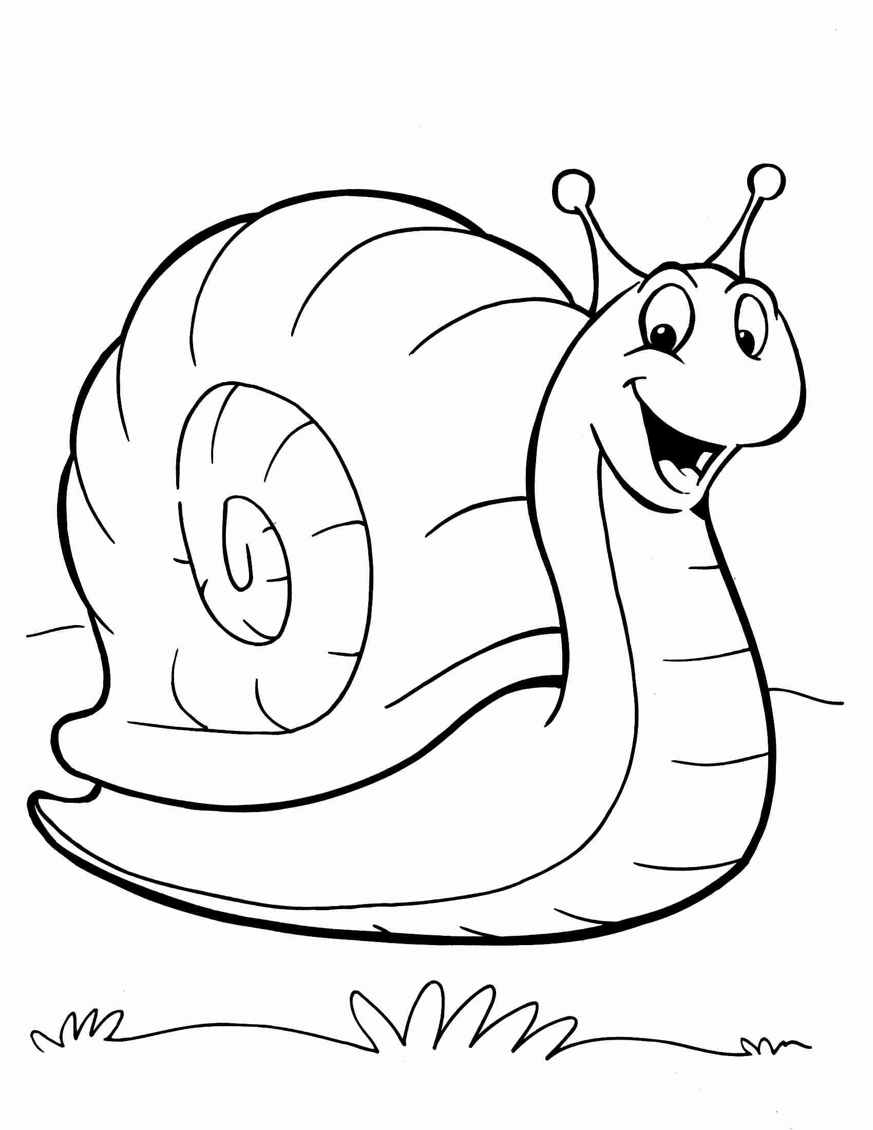 1700x2200 Nice Snail Coloring Page Cool Book Realistic Cute Pages Printable