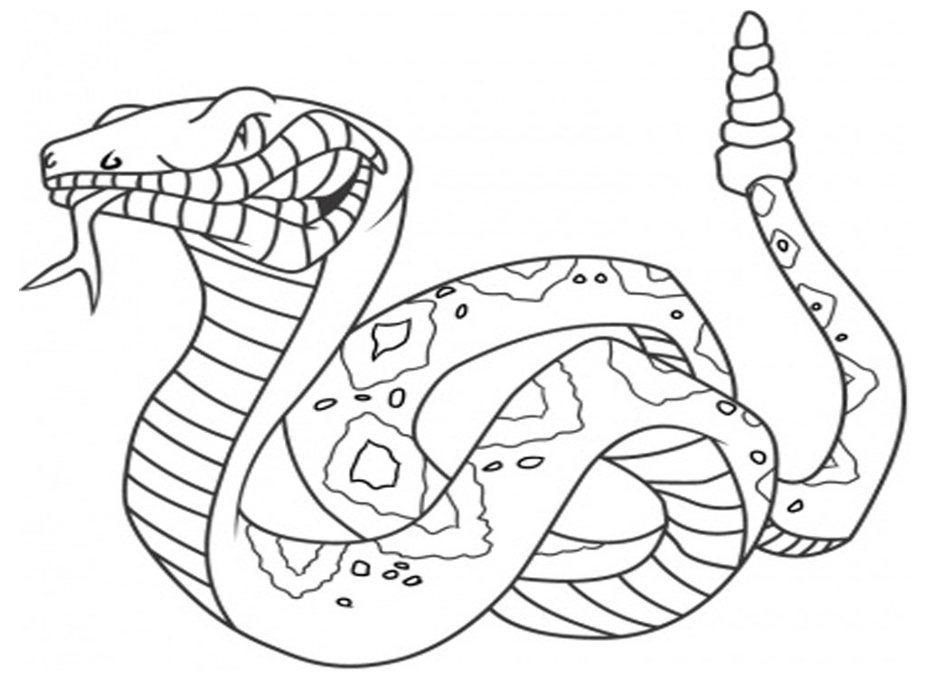 1024x768 Elegant Snake Coloring Pages Snake Coloring Pages Free Printable