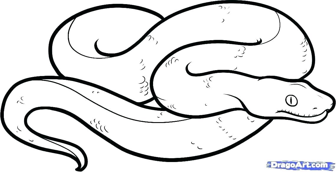 1139x586 Snake Color Page Snake Color Page Snake Coloring Page Anaconda