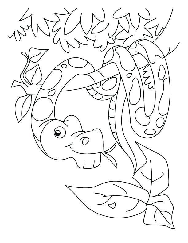 612x792 Snake Color Page Boa Snake Coloring Page Free Snake Color Pages