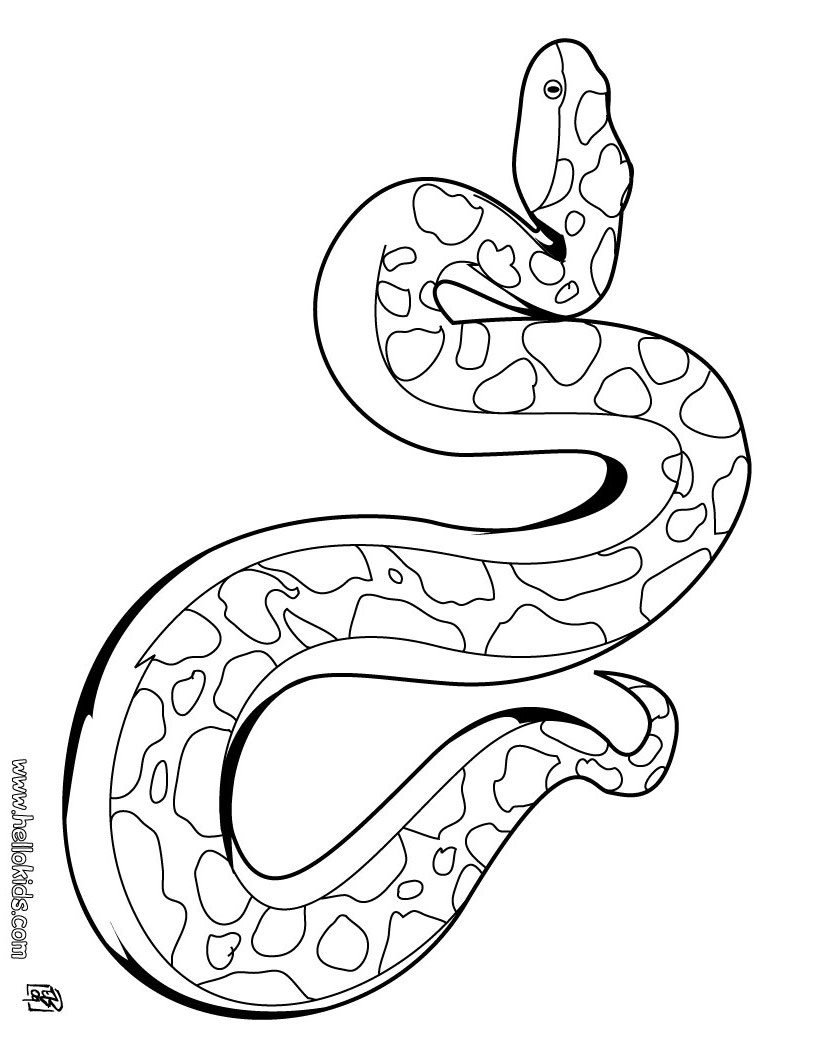 820x1060 Snake Coloring Page Free Printable Pages For Kids New