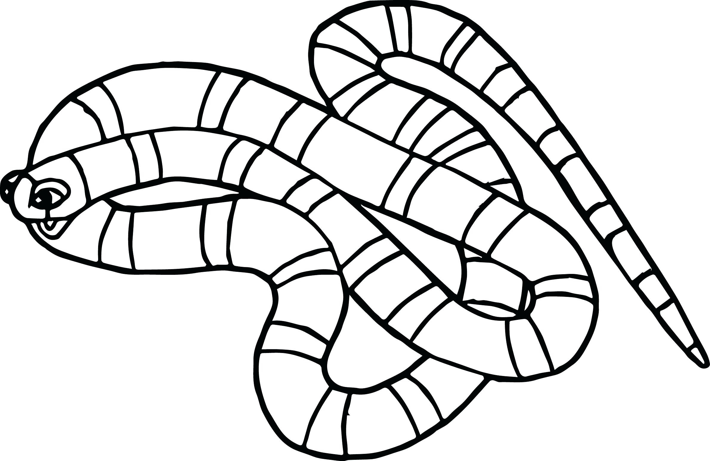 2381x1545 Awesome Snake Page To Color Gallery Printable Coloring Sheet