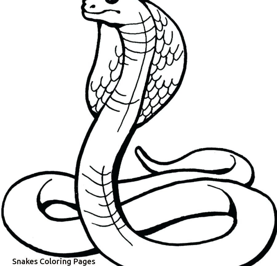 900x864 Coloring For Kids Snake Pages Free Cartoon Colouring Eyes Ninjago
