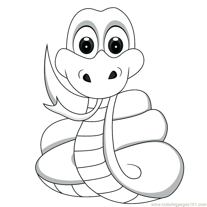 800x800 Snake Coloring Pages Coloring Pages Baby Snake Reptile Snake Free