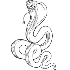 230x230 Top 25 Free Printable Snake Coloring Pages Online