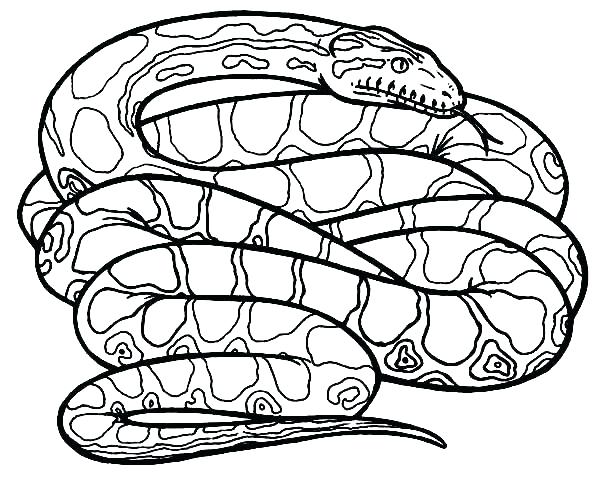 600x488 Coloring Pages Of Snakes Coloring Pages Of Snakes Also Cartoon