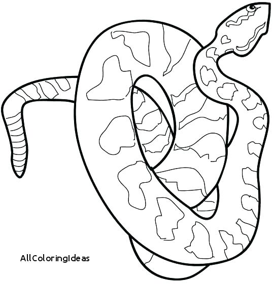 540x561 Realistic Snake Coloring Realistic Snake Coloring Pages Poisonous