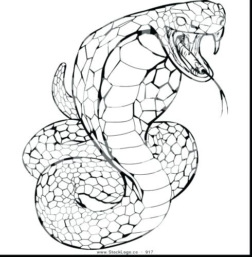 490x500 Snake Color Page Snake Color Page Winding Snake Skull Coloring