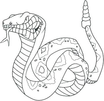 360x350 Snake Coloring Page Snake Color Page Coloring Page Snake Snake