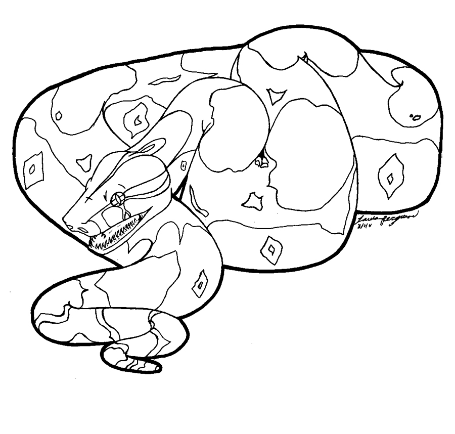 900x858 Snake Coloring Pages