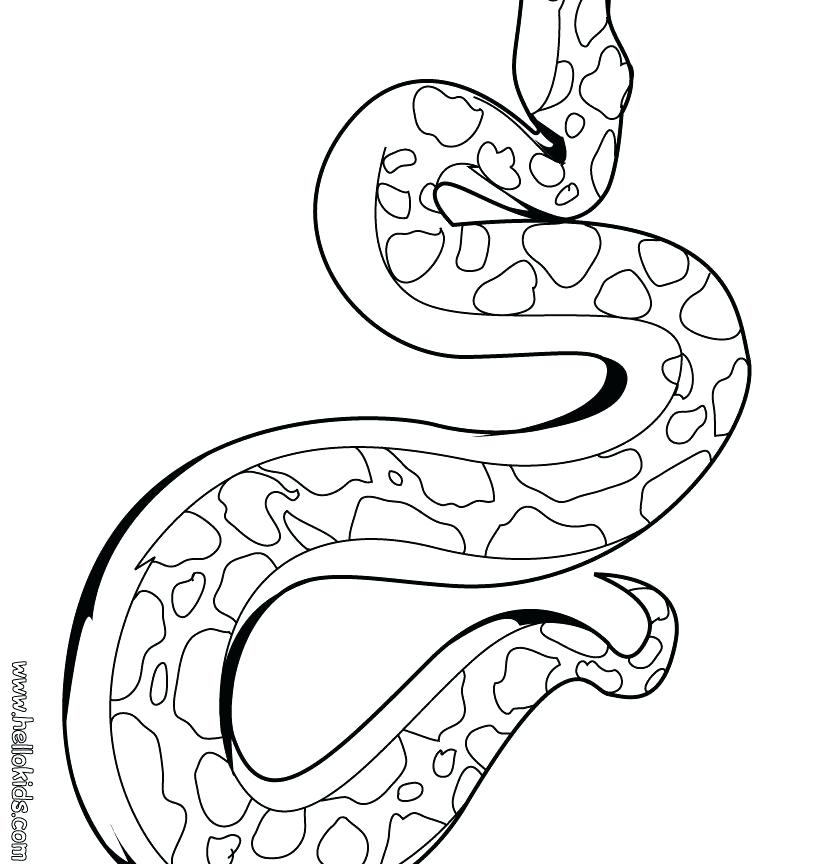820x864 Snake Coloring Pages Striped Snake Coloring Page Snake Coloring