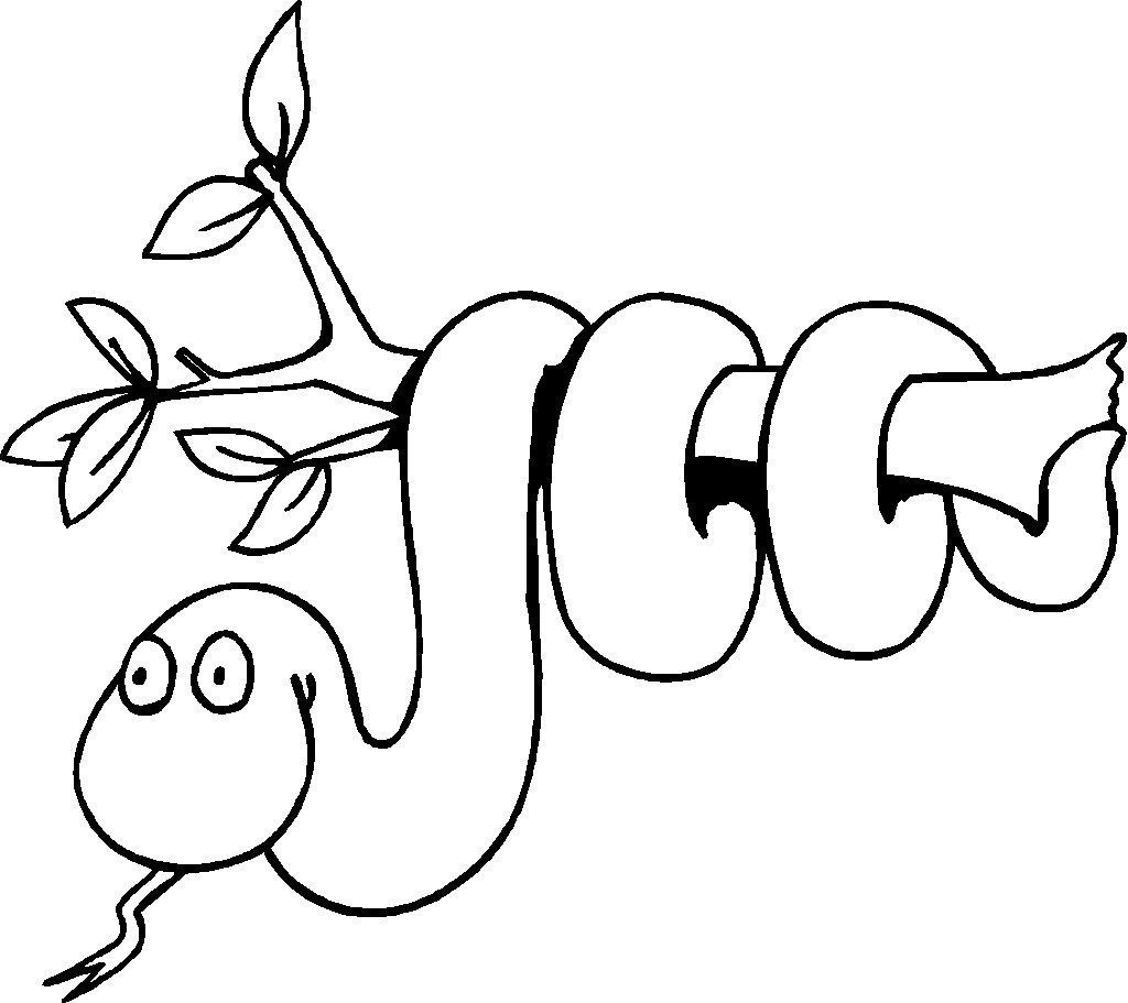 1024x911 Snake Coloring Pictures Acpra
