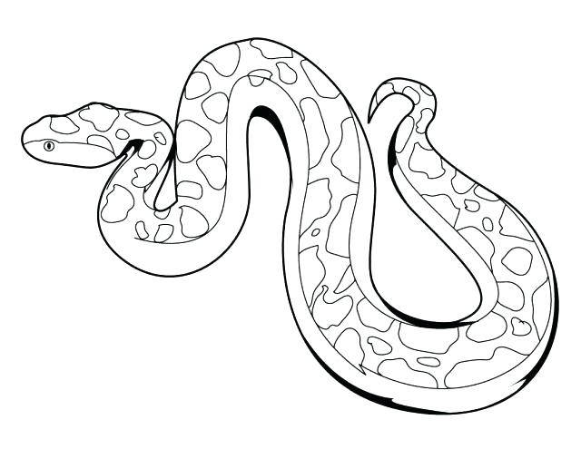 640x495 Snake Color Page