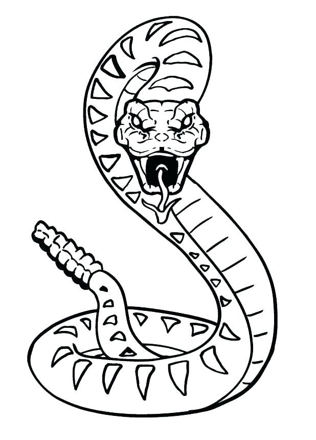 618x859 Snake Coloring Pages