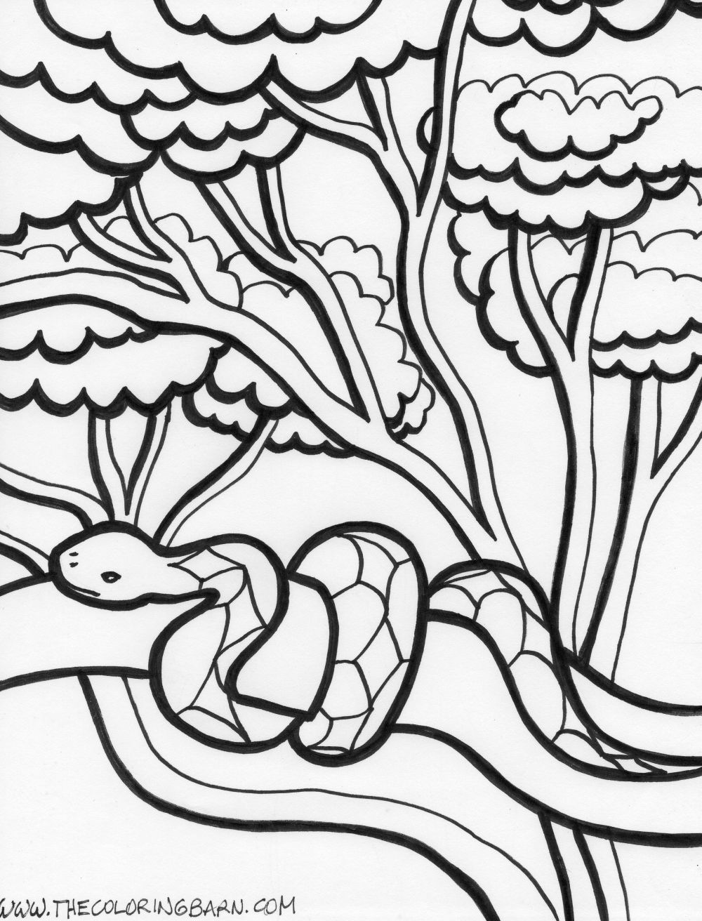 1000x1312 Coloring Picture Printable Snake Coloring Pages Coloring Me,snake