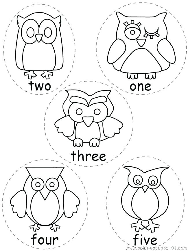 650x866 Pokemon Coloring Pages Printable Snivy Of Owls Owl Print Out