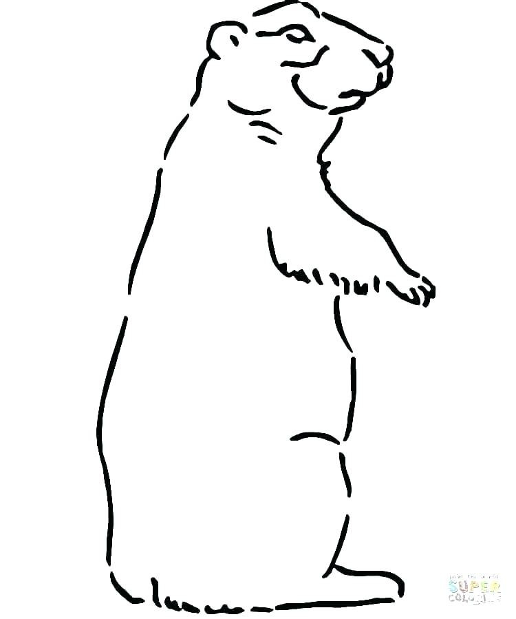 750x899 Coloring Pages Of Snoop Dogg Happy Birthday Mcillustrator
