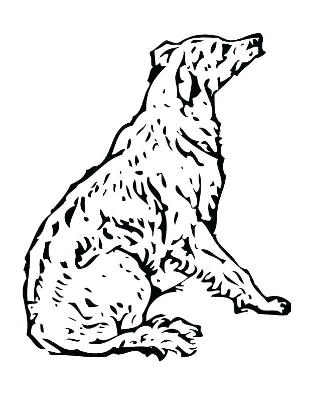 618x800 Coloring Page Dog S S S Free Coloring Page Snoop Dogg