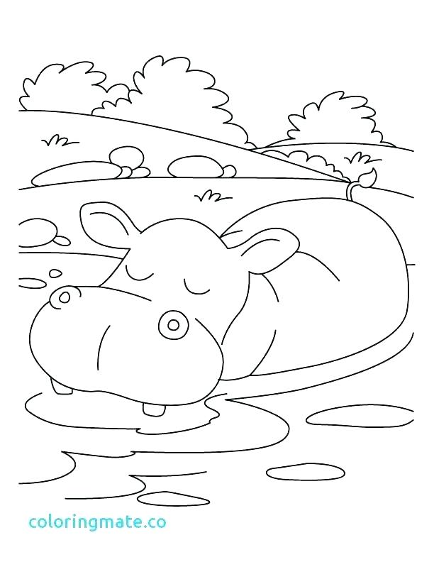 612x792 Hippo Coloring Pages Hippo Coloring Pages To Print Cute Hippo