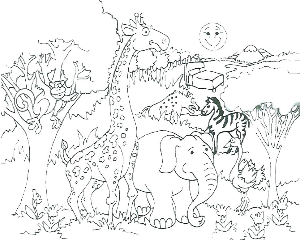 970x780 Leopard Coloring Pages Snow Coloring Page Snow Coloring Page