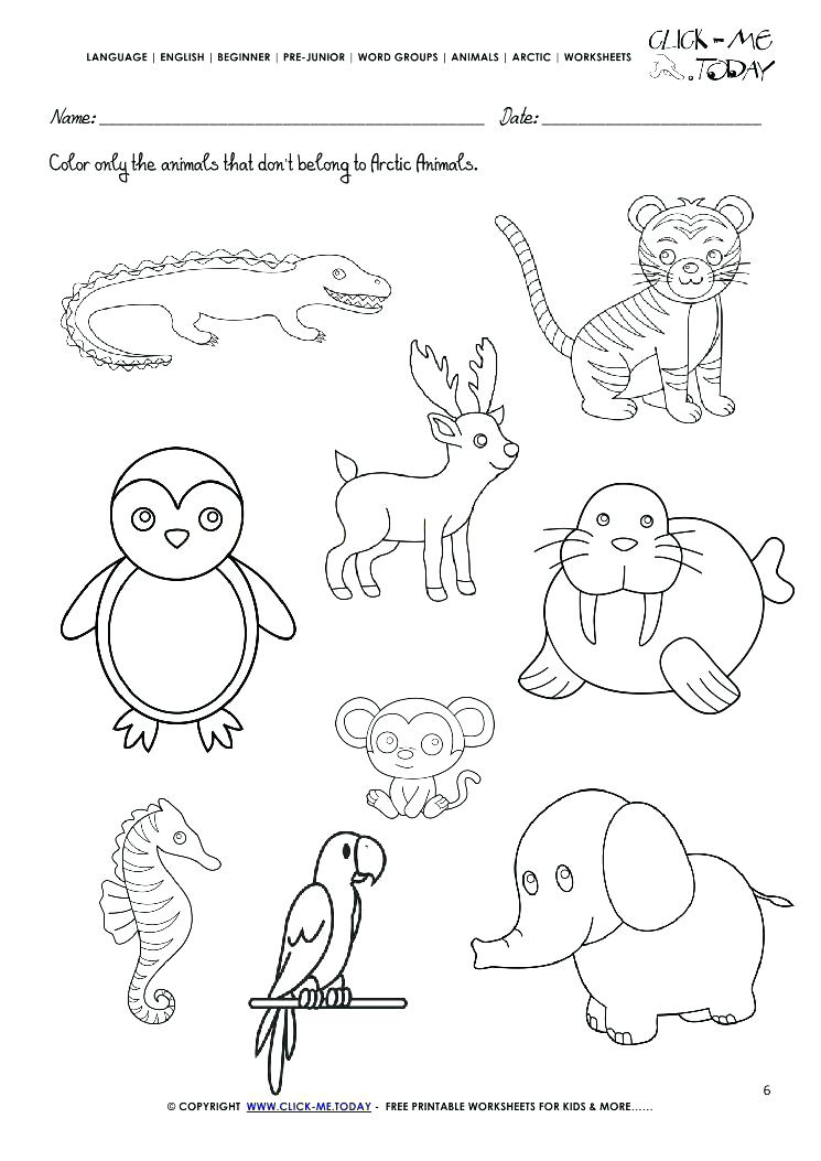 745x1053 Polar Arctic Animals Coloring Pages Arctic Polar Arctic Animals