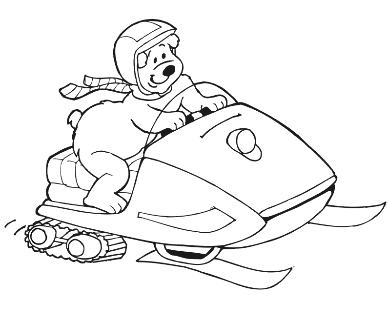 795x660 Snowmobile Skidoo