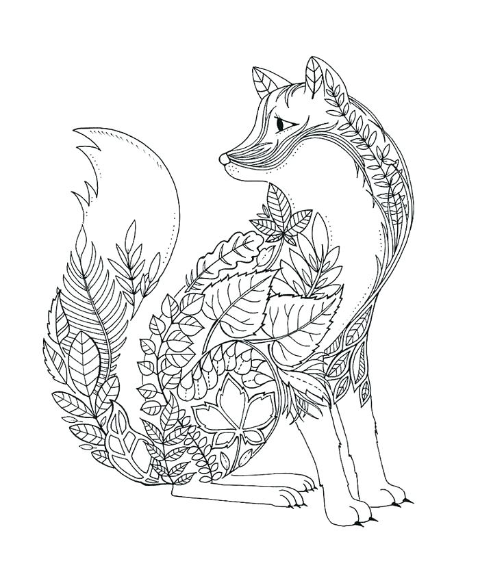 736x833 Arctic Coloring Pages Fox Coloring Pages To Print Classic Tails