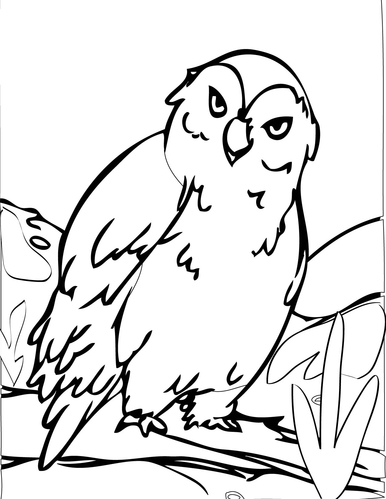 1275x1650 Cartoon Picture Of Arctic Animals Coloring Pages Gallery