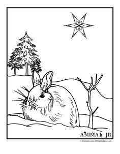 236x303 Free Coloring Pages To Go With Art Appreciation Lessons Durer