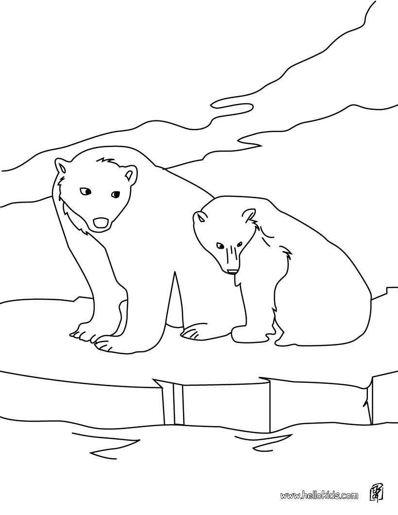 820x1060 Miracle Arctic Animal Coloring Pages Snowshoe Animals