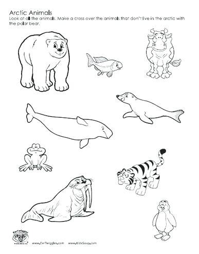 387x494 Polar Animals Coloring Pages Arctic Coloring Pages Printable Hare