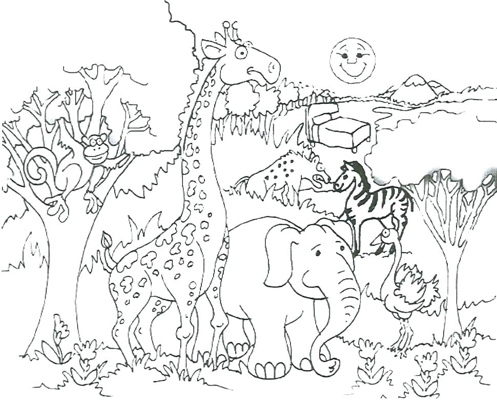 970x780 Snowshoe Animal Coloring Pages Arctic Animal Coloring Pages