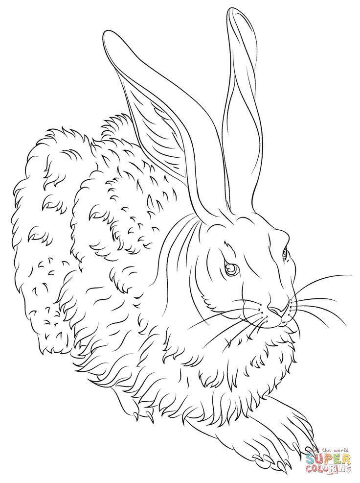 736x986 58 Best Images On Coloring Books