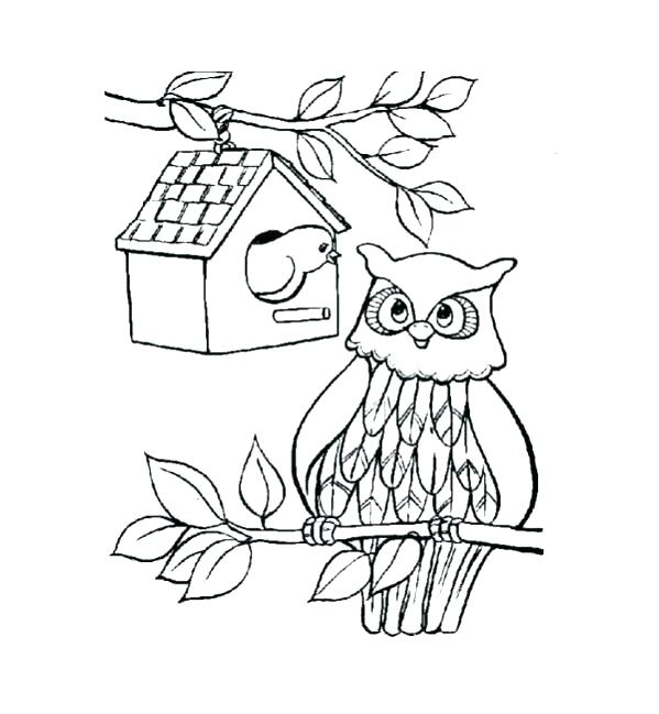 599x649 Coloring Page Owl