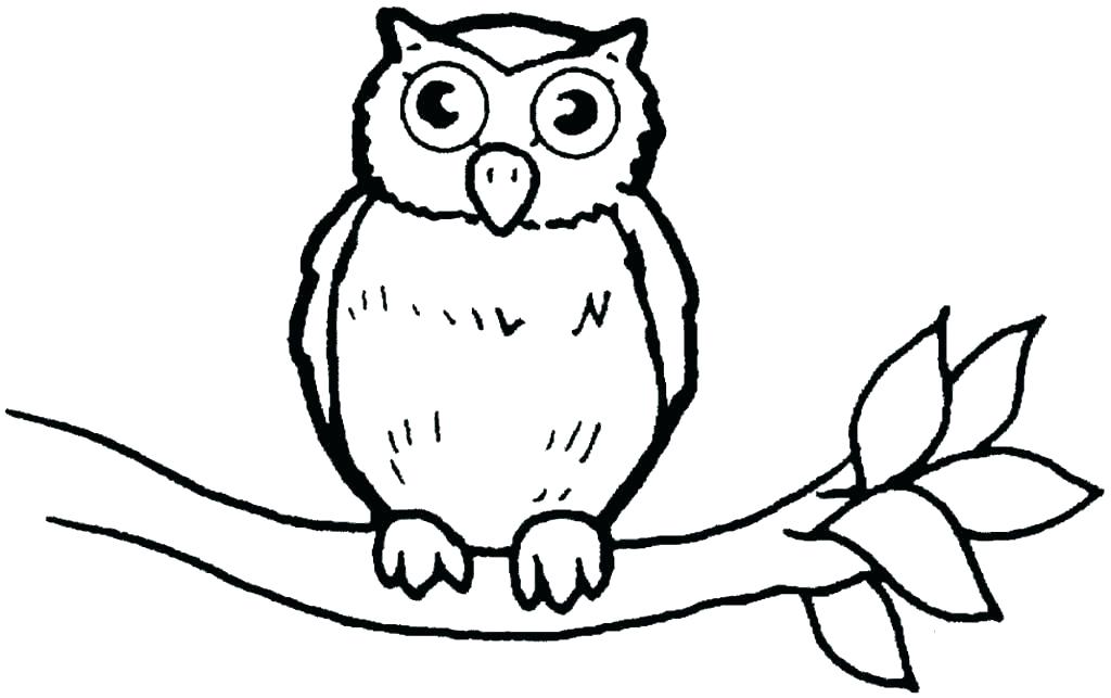 1024x643 Owl Coloring Images Owl Color Page Snowy Owl Coloring Pages Owl
