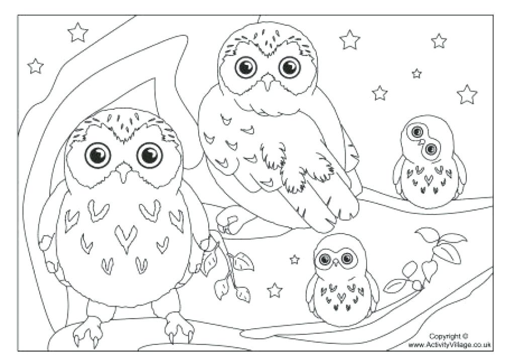 1024x723 Owls Coloring Pages Coloring Pages Of Owl Bies Owl Coloring Page