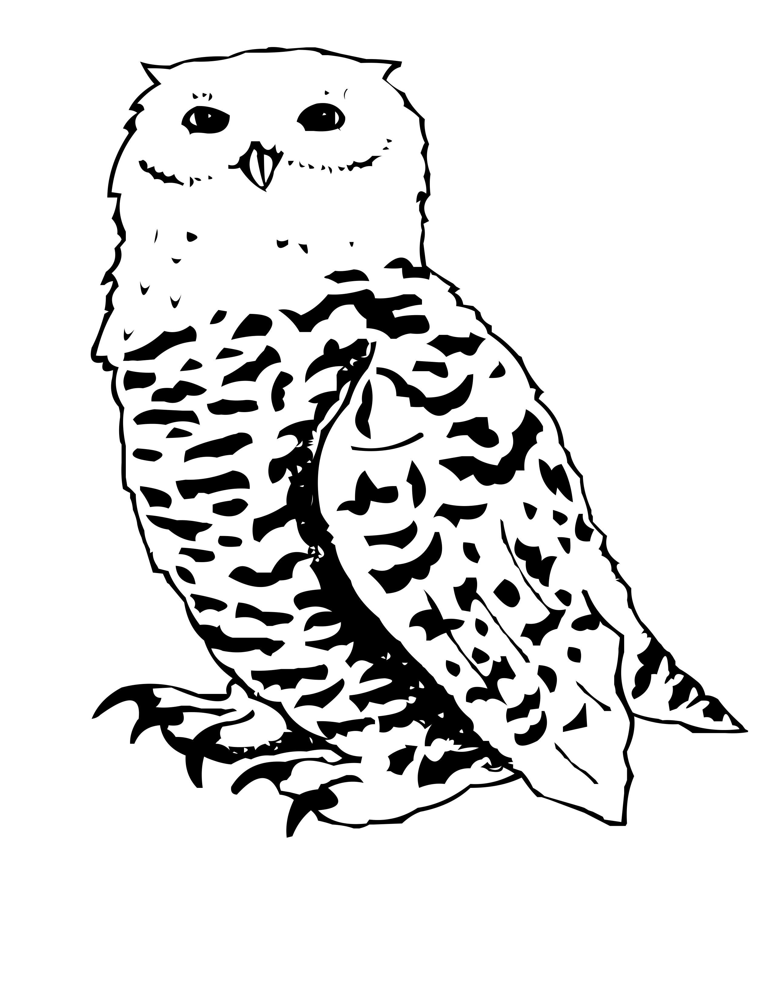 2550x3300 Printable Snowy Owl Coloring Pages Free Coloring Pages Download