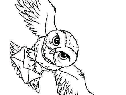 440x330 Barn Coloring Sheets Barn Coloring Page Snowy Owl Coloring Pages