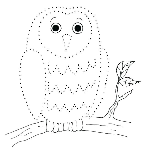 568x605 Snowy Owl Coloring Page Snowy Owl Coloring Page Snowy Owl Coloring