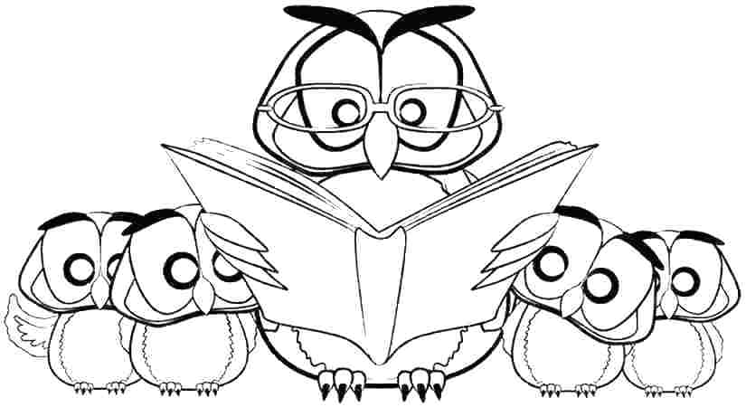 825x450 Captivating Snowy Owl Coloring Pages Owl Coloring Pictures