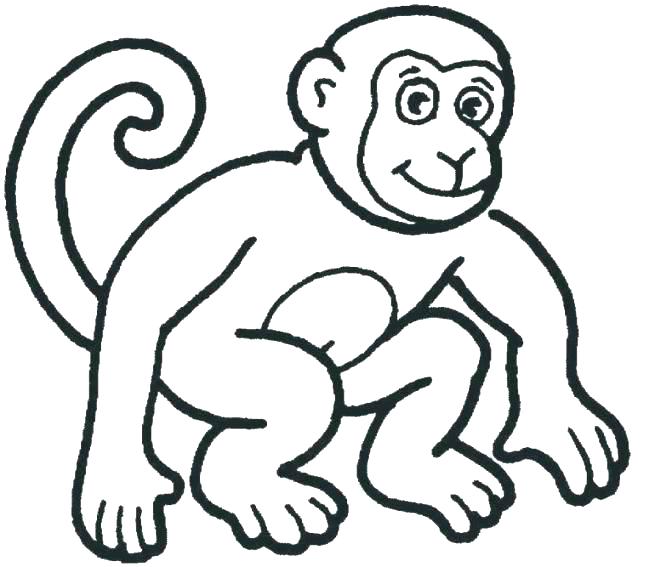 655x567 Printable Monkey Coloring Pages Monkey Coloring Page Free Monkey