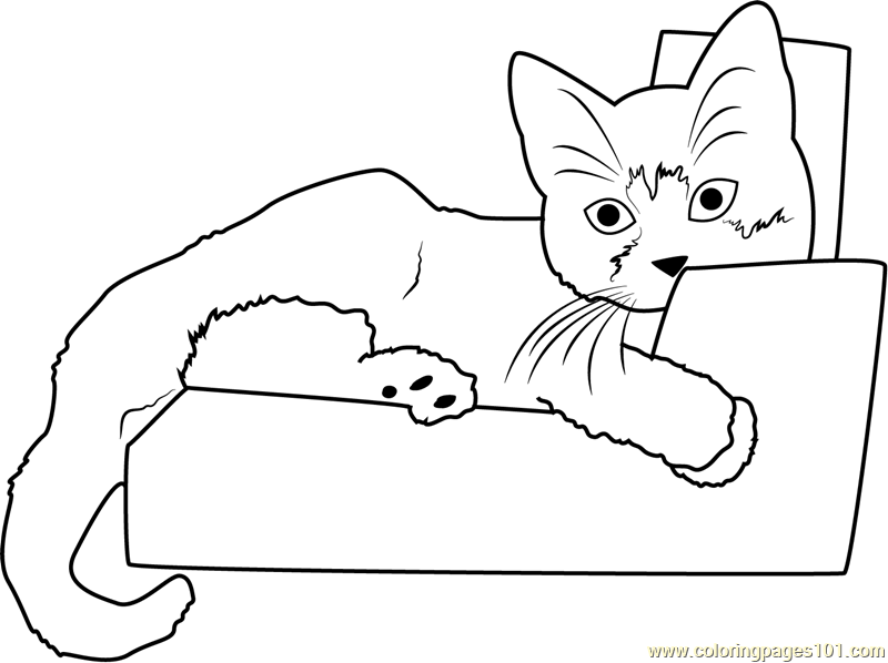 800x598 Kitten Sleeping On Sofa Coloring Page