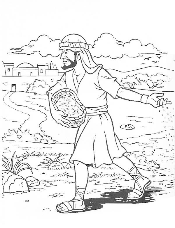 600x784 Parable The Soils Sower Sows The Seed Bible Nt Parable