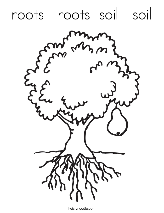 685x886 Roots Roots Soil Soil Coloring Page