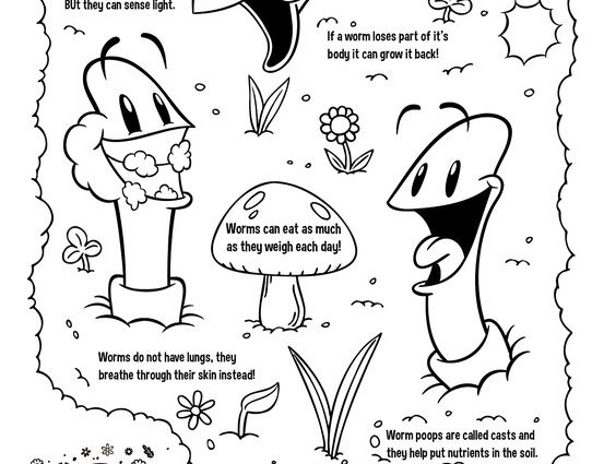 553x425 Soil Coloring Pages Print Out This Fun Facts Coloring Page So Your