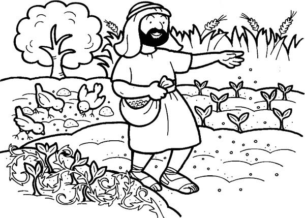 600x429 Soil Coloring Pages Seed That Falling Into Good Soil In Parable