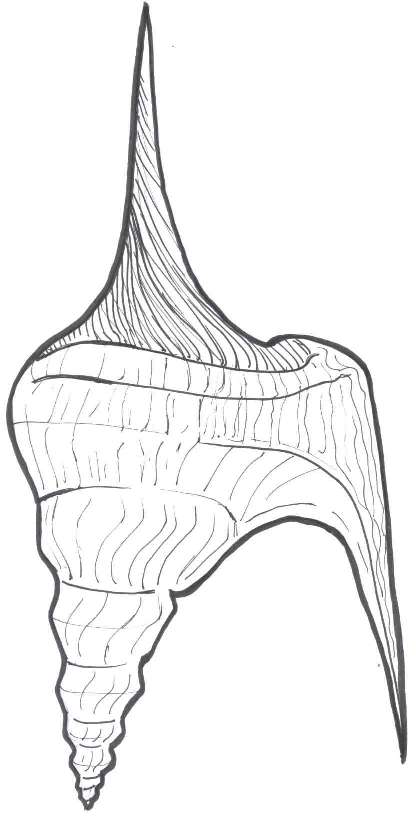 832x1632 R Truth Coloring Pages