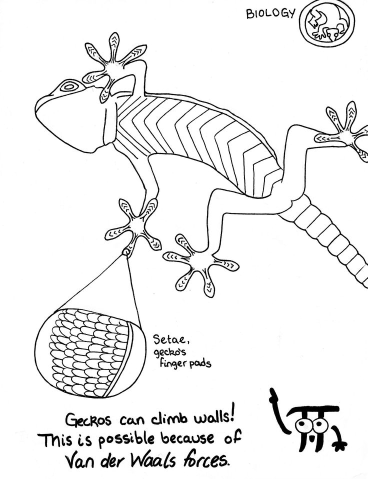736x958 8 Best Organic Chemistry Extra Credit Coloring Book!! Images