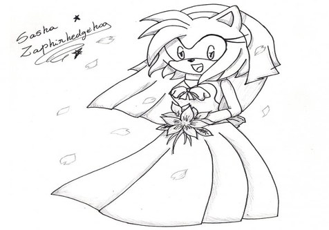 476x333 Amy Rose Coloring Paint Page Image Clipart Images