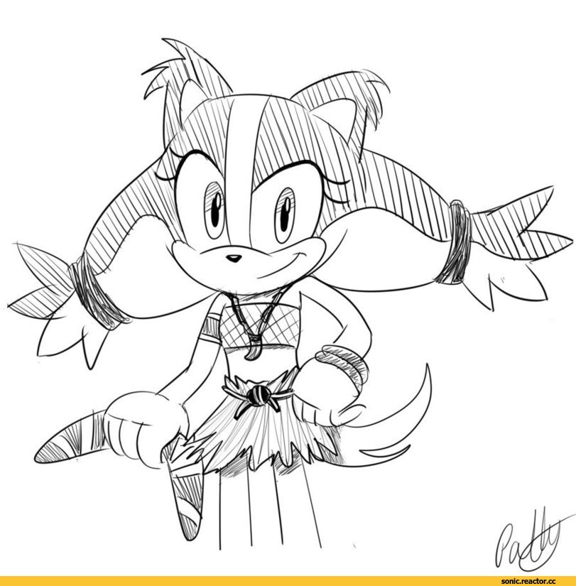 811x825 Badger Sonic Coloring Pages Sticks Things To Wear